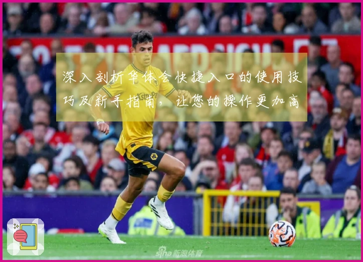 深入剖析华体会快捷入口的使用技巧及新手指南，让您的操作更加高效便捷