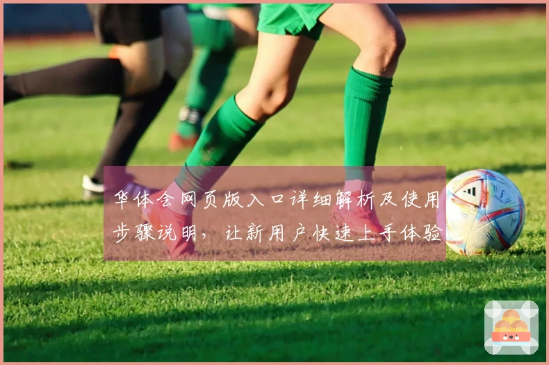 华体会网页版入口详细解析及使用步骤说明，让新用户快速上手体验
