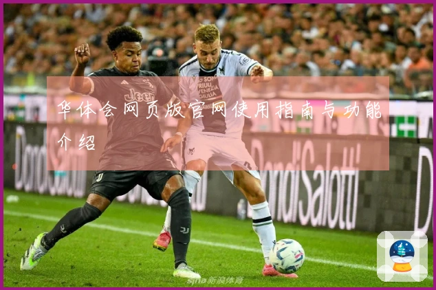 华体会网页版官网使用指南与功能介绍