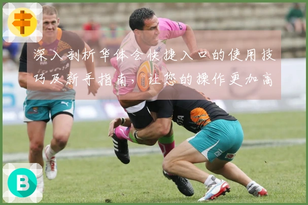 深入剖析华体会快捷入口的使用技巧及新手指南,让您的操作更加高效便捷