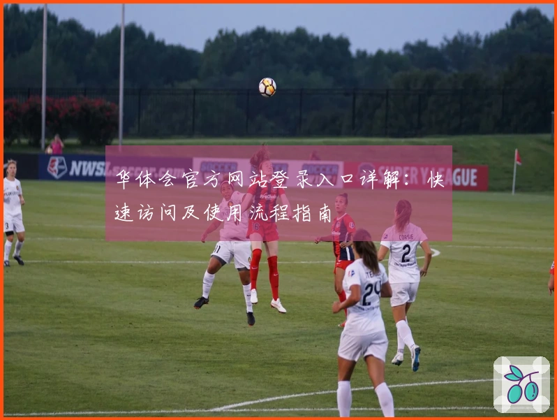 华体会官方网站登录入口详解：快速访问及使用流程指南